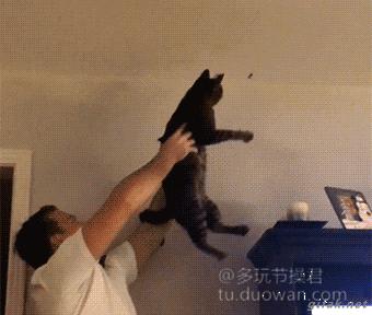 爱情搞笑动态图片,爱情搞笑动态图