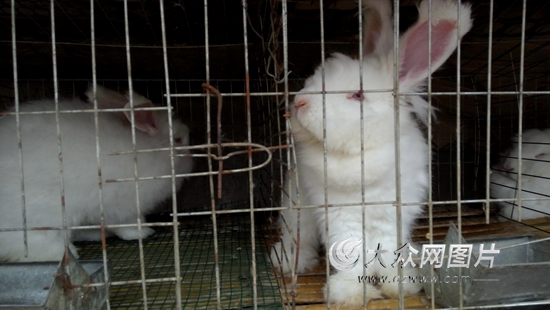 丙申扶贫记（2）一剂脱贫药方让她笑着哭