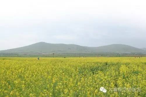 大连周边吃喝玩乐一日游,大连周边五日游攻略
