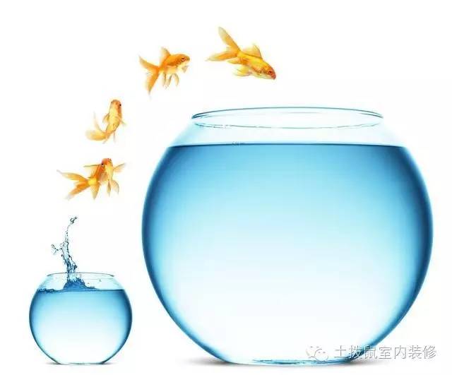 家里招财摆件风水讲究,招财风水摆件摆在哪个位置