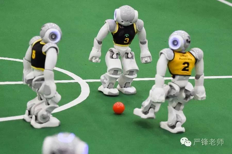 冷热足球网,冷热足球