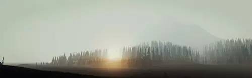 坑爹生存游戏攻略,一个惨绝人寰的生存游戏