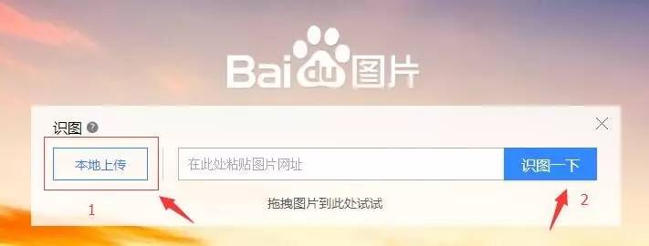 一分钟教会你鉴赏画,零基础画真人教程黑白初学者