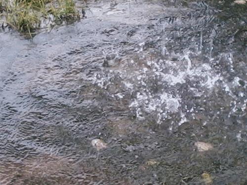 快讯！强台风“海马”登陆汕尾海丰县鲘门镇！过去1小时，厦门有6站降水大于50毫米！
