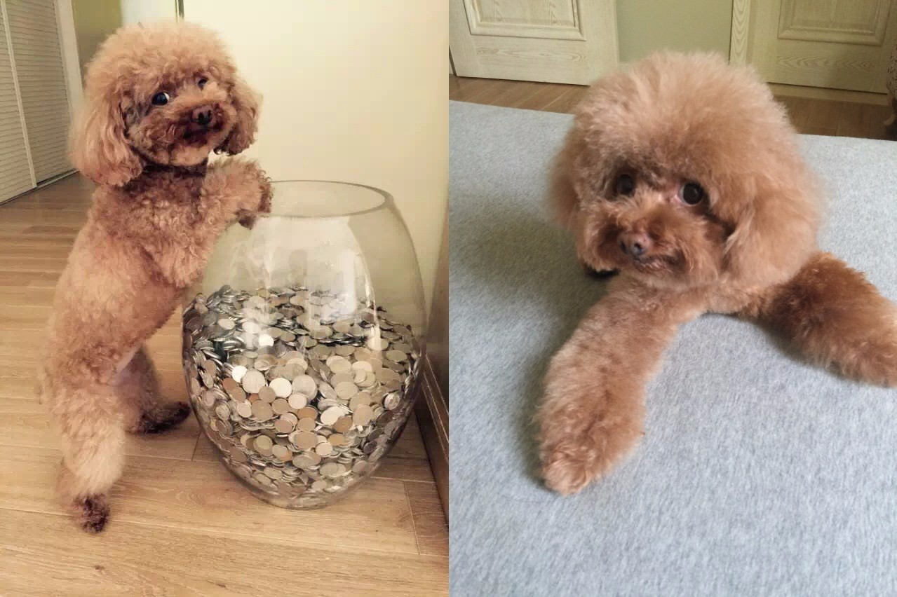 阿秋秋三分钟时尚碎碎念|一句万能的回答语