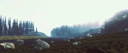 坑爹生存游戏攻略,一个惨绝人寰的生存游戏