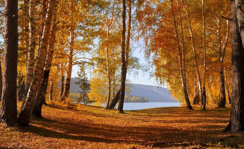 长沙的秋天去哪了,长沙秋天适合去的地方