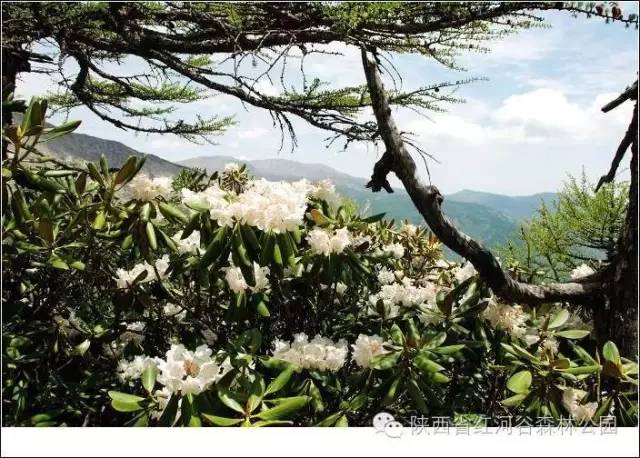9月去红河怎么玩,国庆节节云南红河适合去哪旅游