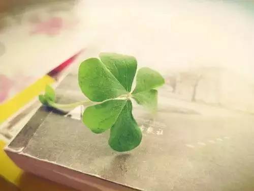 100句子记3500高考单词怎样自学,高考必背3500单词列表最新版