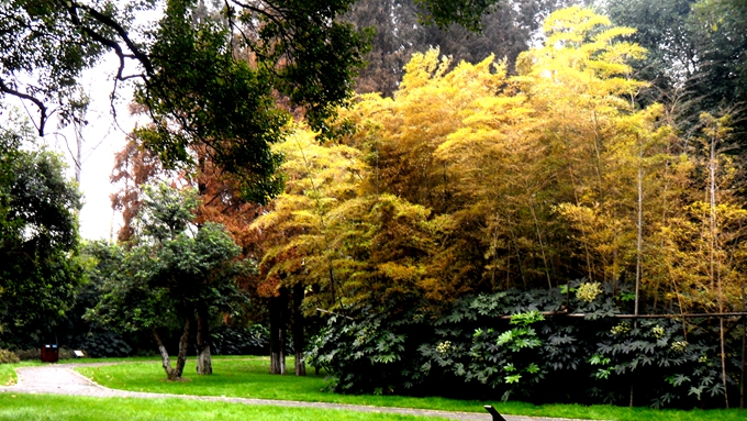 长沙的秋天去哪了,长沙秋天适合去的地方