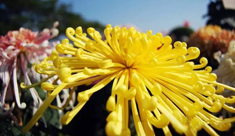 长沙的秋天去哪了,长沙秋天适合去的地方