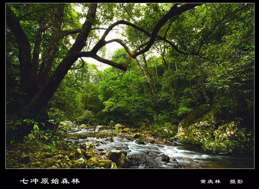 广西最有影响力的7个县,广西优秀的学习榜样