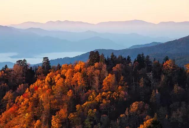 美国50大州排名,美国五十州排名