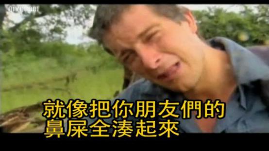 关于熊的那些冷冷冷冷冷知识