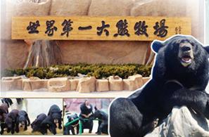 山东蓬莱海洋极地世界门票多少钱,山东郓城水浒城现在门票多少钱