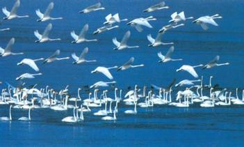 山东蓬莱海洋极地世界门票多少钱,山东郓城水浒城现在门票多少钱