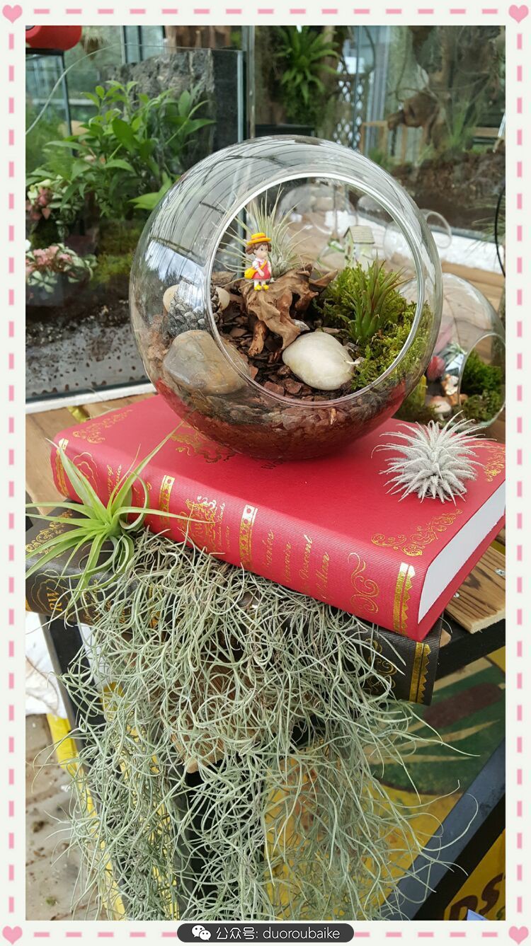 向阳的玻璃花房,玻璃花房设计建造