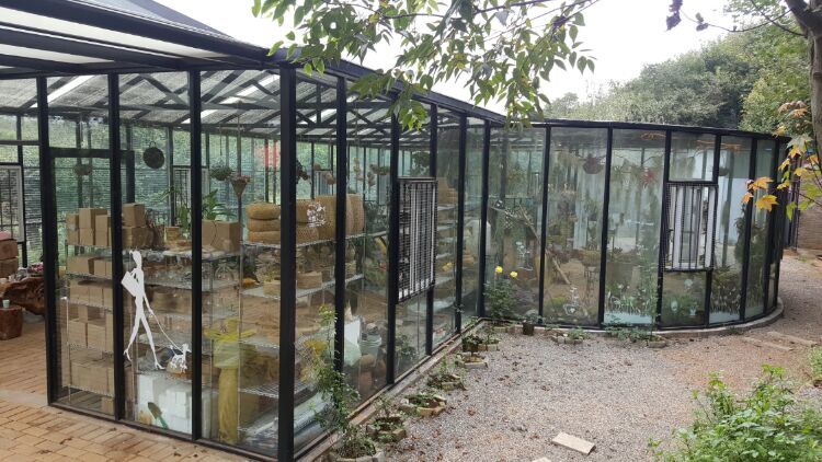 向阳的玻璃花房,玻璃花房设计建造
