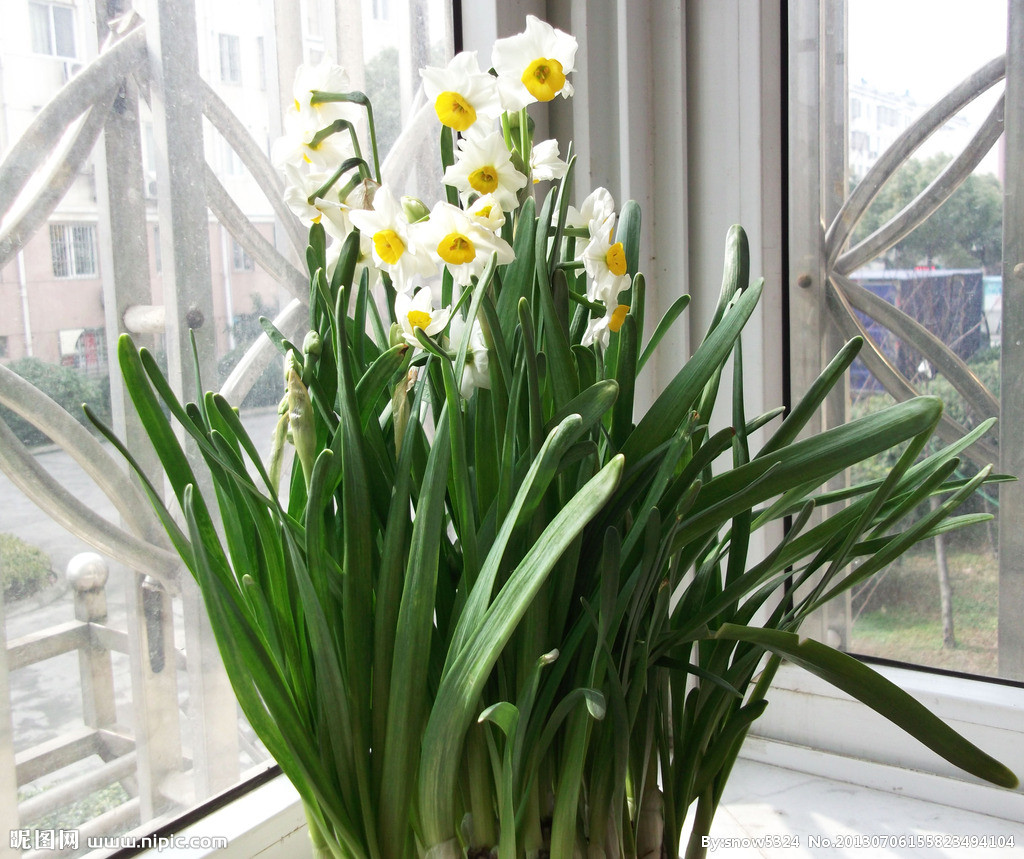 猫咪绝对不能吃的东西,猫咪能吃的食物