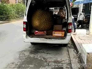 爱情搞笑动态图片,爱情搞笑动态图