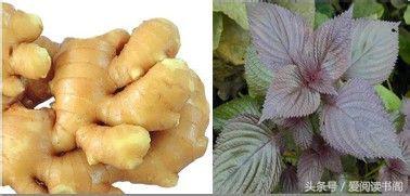 这几个常识让你远离秋季感冒,秋季感冒了怎么办小偏方