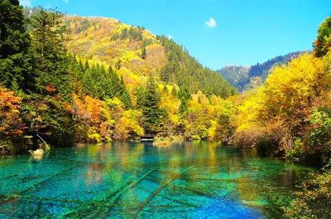 航空公司特价机票推荐,各航空公司机票打折日统计表