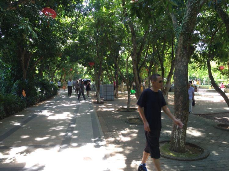 好吃到爆的海南美食,值得一尝的海南特点美食