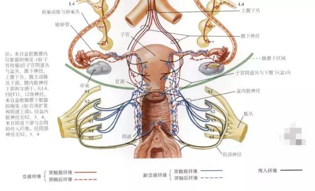 女生痛经男生给女生准备些什么,男生照顾痛经女生指南