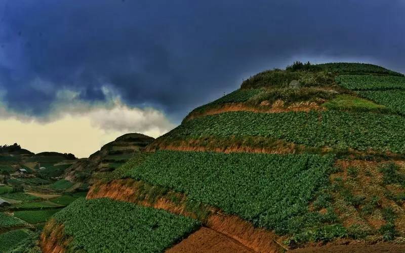 养鸡养羊还养生，德宏的这个地方，去了就不想走了！