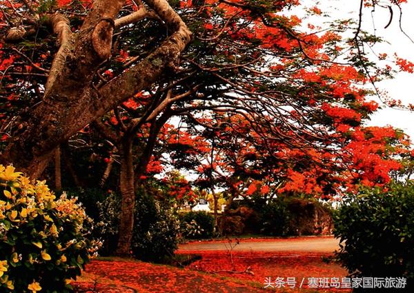 塞班岛旅游攻略三天住宿,塞班岛旅游攻略机票查询