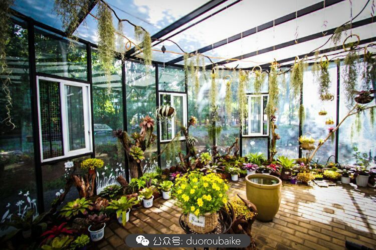 向阳的玻璃花房,玻璃花房设计建造