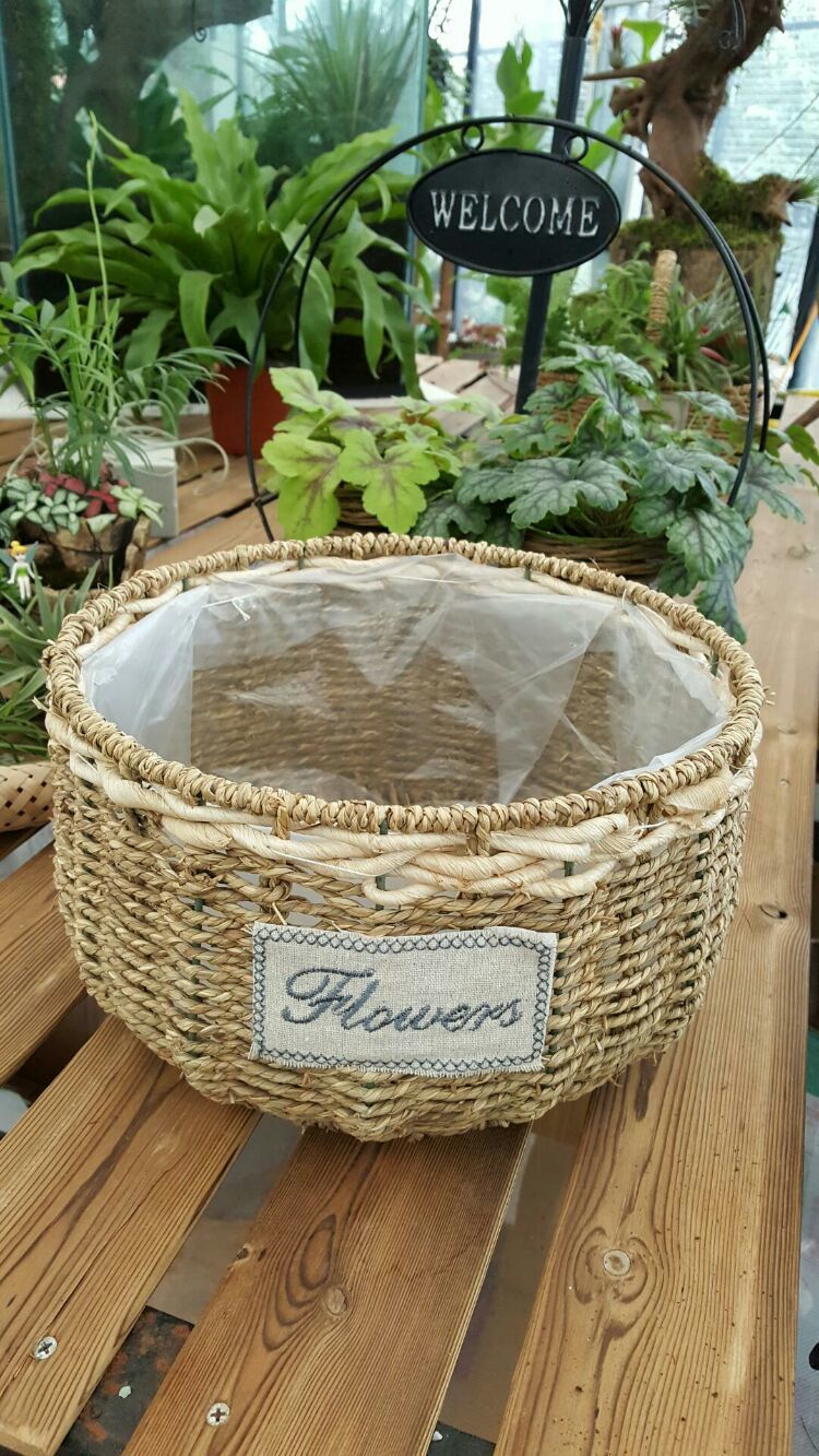 向阳的玻璃花房,玻璃花房设计建造