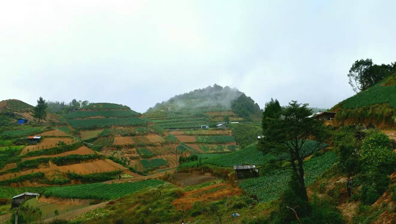 养鸡养羊还养生，德宏的这个地方，去了就不想走了！