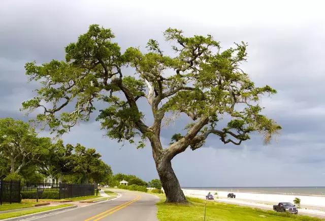 美国50大州排名,美国五十州排名