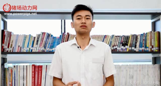 奎哥养猪第八期,奎哥养猪1-50期