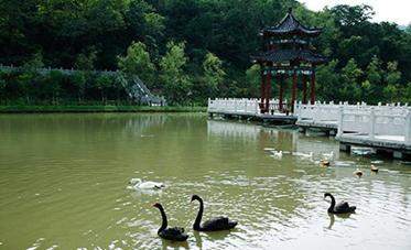 山东蓬莱海洋极地世界门票多少钱,山东郓城水浒城现在门票多少钱