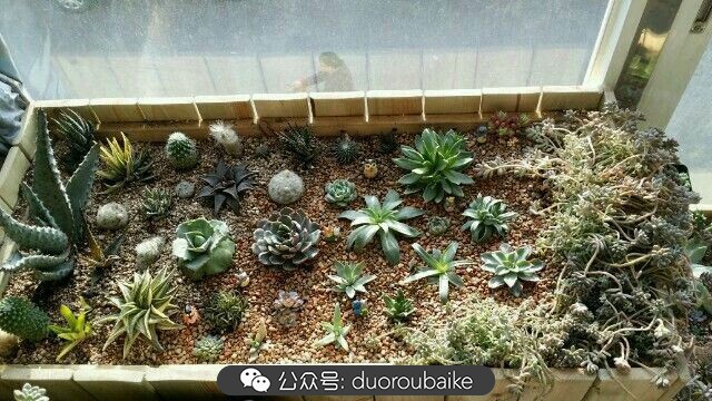 向阳的玻璃花房,玻璃花房设计建造