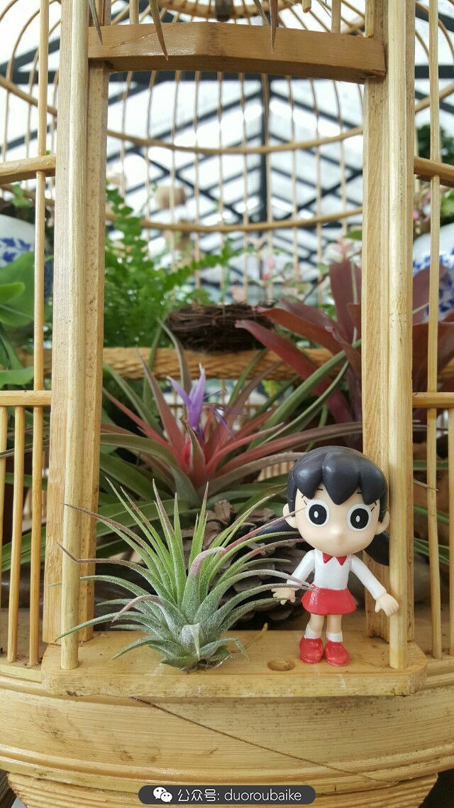 向阳的玻璃花房,玻璃花房设计建造