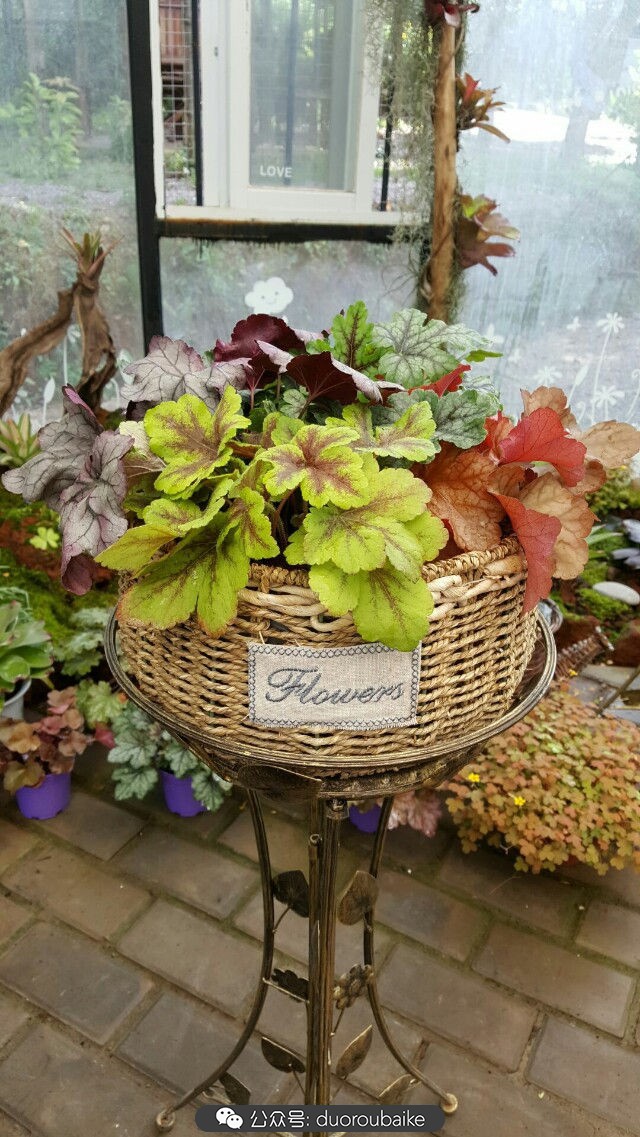 向阳的玻璃花房,玻璃花房设计建造