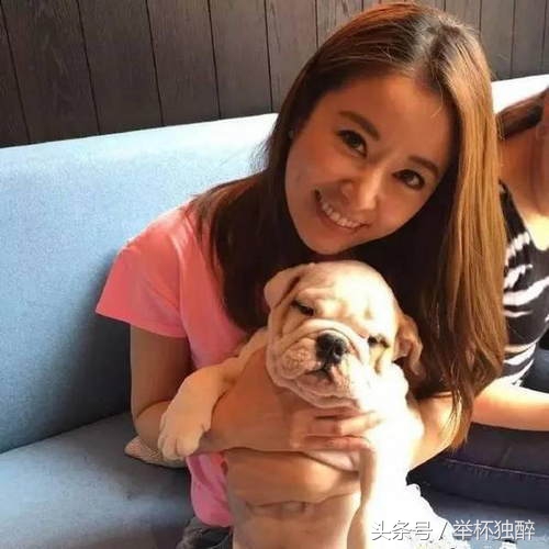 谢霆锋宠物,谢霆锋宠物乌龟