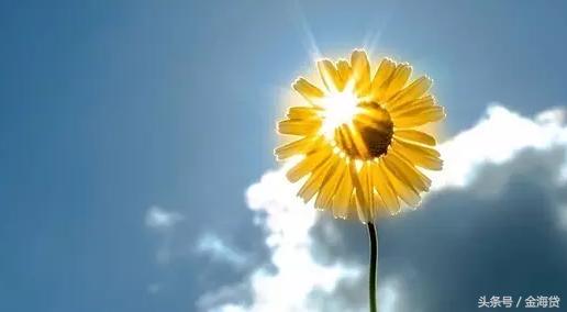 金海贷网贷平台,金海贷