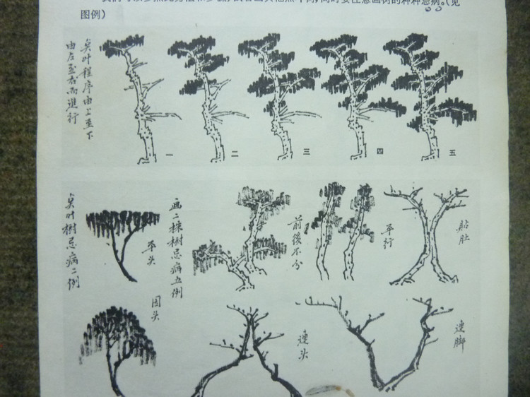 山水画基础技法画竹子,山水画基础技法之山石画法教程