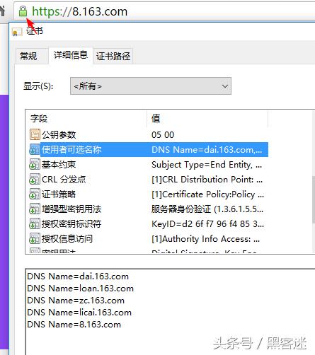 子域名搜集思路,子域名怎么收集