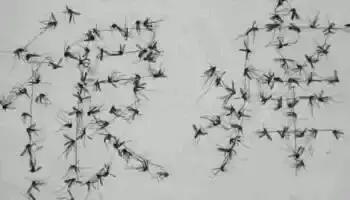 为什么有人爱招蚊子,易招蚊子是什么原因