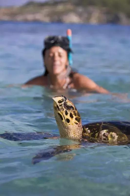 塞舌尔海洋天堂,最后的伊甸园之塞舌尔