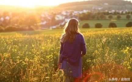 金海贷网贷平台,金海贷