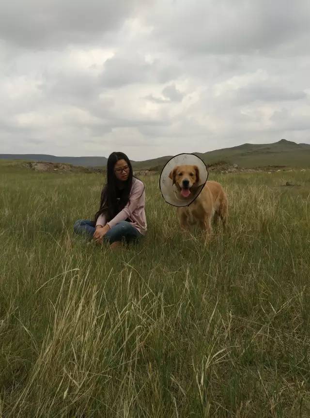 自驾川西带金毛,长途自驾带金毛