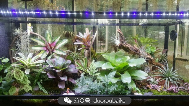 向阳的玻璃花房,玻璃花房设计建造