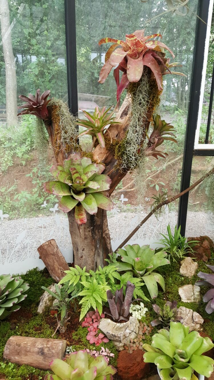 向阳的玻璃花房,玻璃花房设计建造