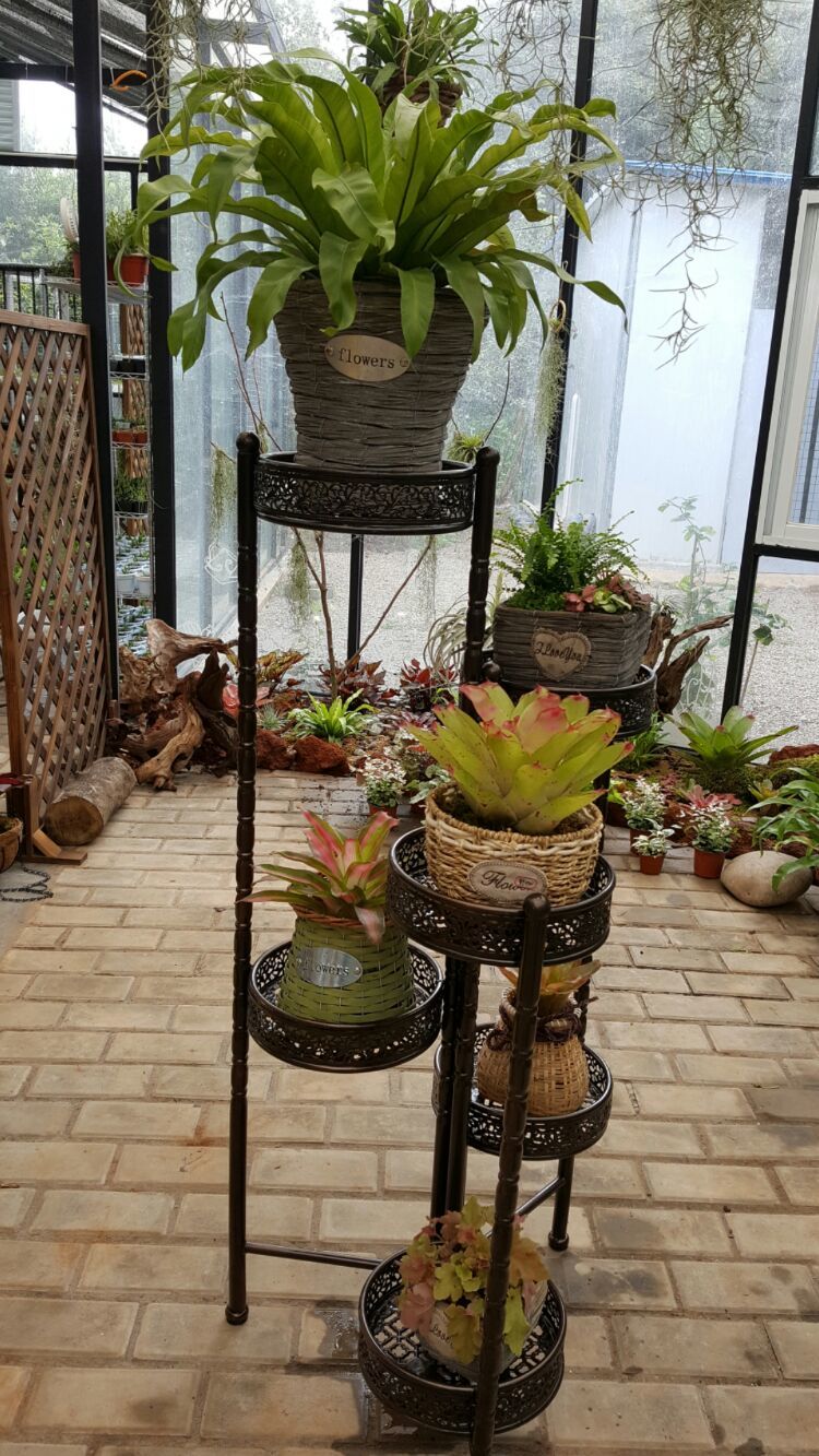 向阳的玻璃花房,玻璃花房设计建造